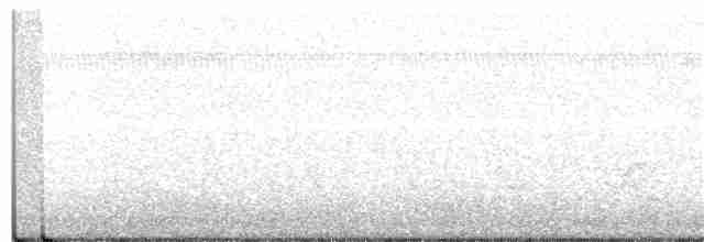 White-eyed Vireo - ML354768121