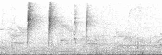 Сичик-горобець світлоголовий - ML354796351