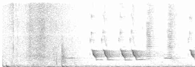 Méliphage carillonneur - ML354874351
