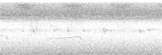 Balık Kartalı (cristatus) - ML354950191