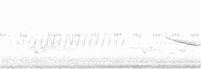 Кузнечиковая овсянка-барсучок - ML354972681