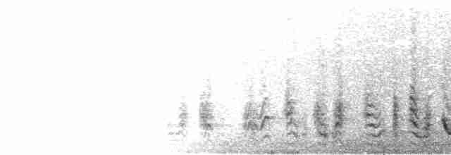 Troglodyte à nuque rousse - ML355012011