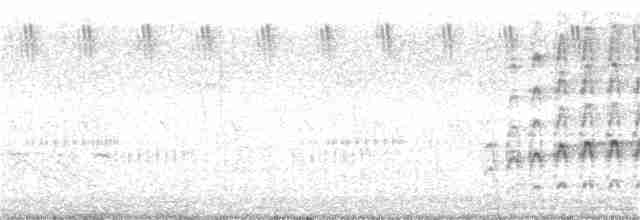 Eurasian Kestrel (Rufescent) - ML355059891