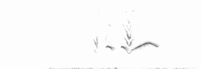 Короткопалый хохлатый жаворонок - ML355189211