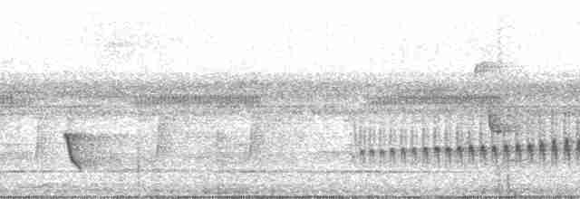 Açık Suratlı Çıtkuşu - ML35522