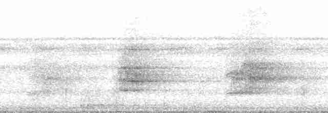 Amazon Oropendulası (yuracares/neivae) - ML35525