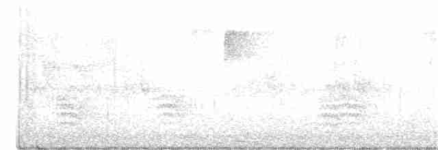 Weißbrustkleiber - ML355255821