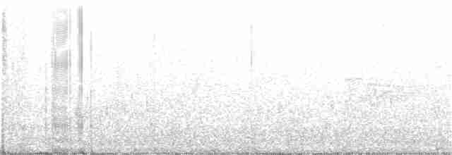Küçük Boreal Sinekkapan - ML355304001