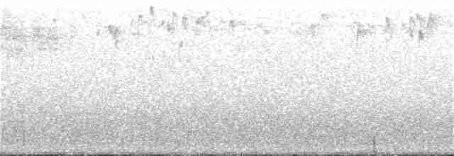hvitbrynsvartspett - ML355343151