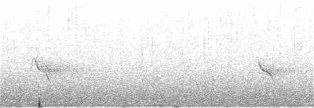 Evening Grosbeak (type 1) - ML355382261