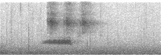 Turuncu Ardıç - ML355384791