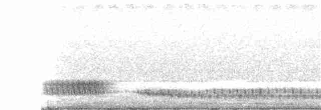 Nachtschwalbe - ML355552941