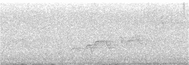 Дрізд-короткодзьоб Cвенсона - ML355591451