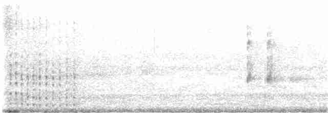 Tepeli Büyük Sumru - ML355599711