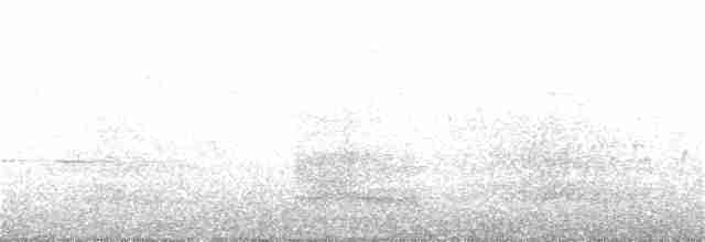 裏海燕鷗 - ML355620251