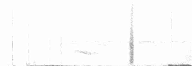 Blue-crowned Trogon - ML355622081
