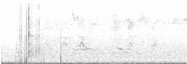 Каролинский крапивник - ML355627611