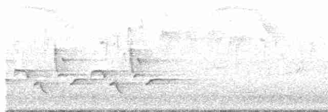 Каролинский крапивник - ML355628081