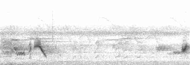 黑冠椋鳥 - ML355666191