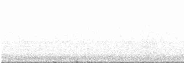 Spotless Crake - ML355671621