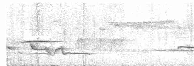 Prinia de Winifred (rubehonensis) - ML355703721