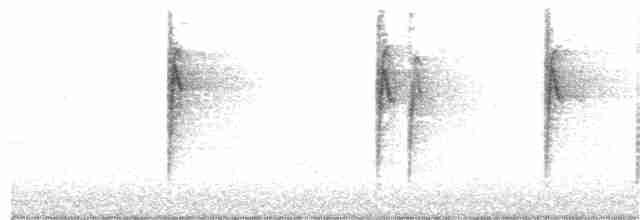 Bruant à couronne blanche (oriantha) - ML355711911