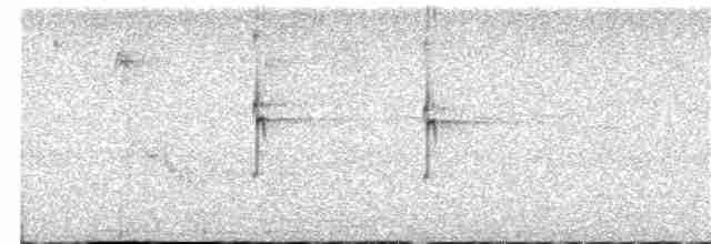 Улит-отшельник - ML355715011
