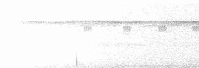 Scissor-tailed Nightjar - ML355787671