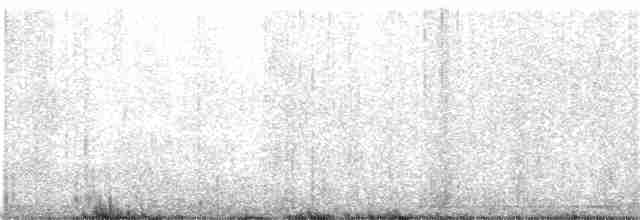 Дрізд-короткодзьоб канадський - ML355787891