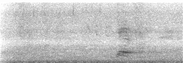 Black-crowned Night Heron - ML355798021