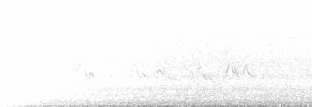 White-eyed Vireo - ML355800031