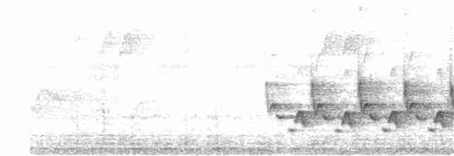 Каролинский крапивник - ML355822221