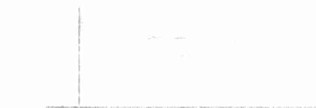 White-tailed Iora - ML355870491