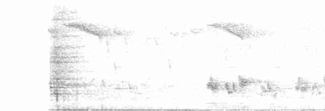Gray-bellied Cuckoo - ML355872661