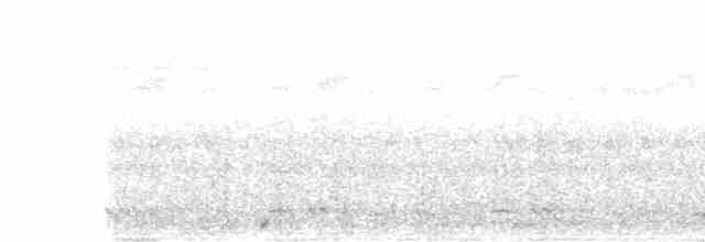 White-cheeked Barbet - ML355873561