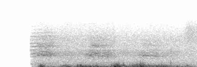Malabar Pied-Hornbill - ML355878201