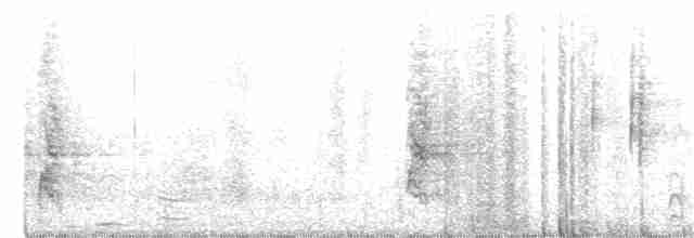 Steller Kargası [stelleri grubu] - ML355910341