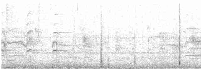 Common Tern - ML356072551