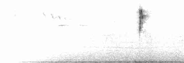 Orite buissonnière (groupe melanotis) - ML356083561