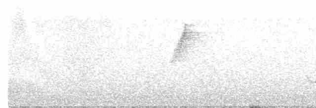 Habeş Ardıcı - ML356141911