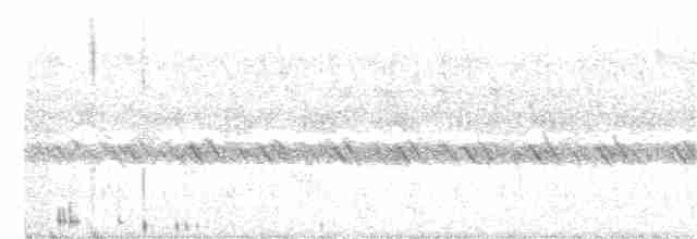 Slender-tailed Nightjar - ML356144141