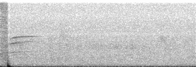 Дрізд-короткодзьоб плямистоволий - ML356245801