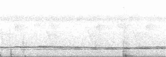 Зозуля білогорла - ML356315981