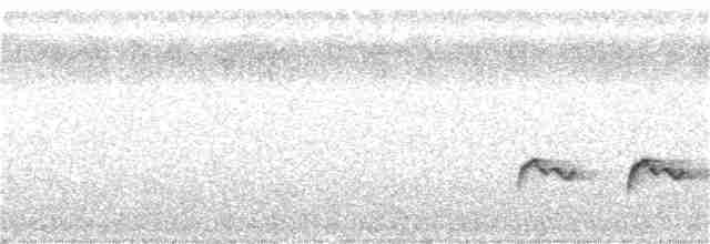svarthodeapalis - ML356360581