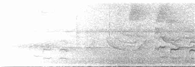 Band-tailed Antwren - ML356424761