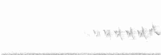 Yellow-rumped Warbler - ML356457261