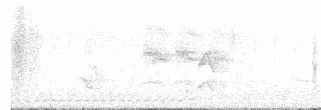holub hnědohlavý - ML356477271