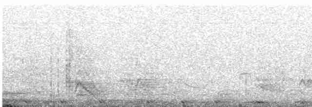 holub útesový - ML356506151