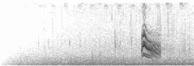 שחפית שחורת-אוזן - ML356509891