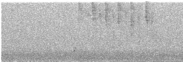 Дрізд-короткодзьоб Cвенсона - ML356534641